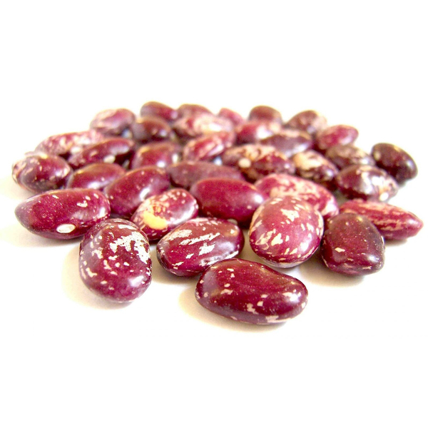 Фасоль «Ласточка»